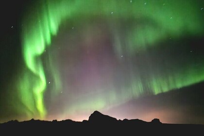 Reykjavik Northern Lights Evening Adventure Guided Tour