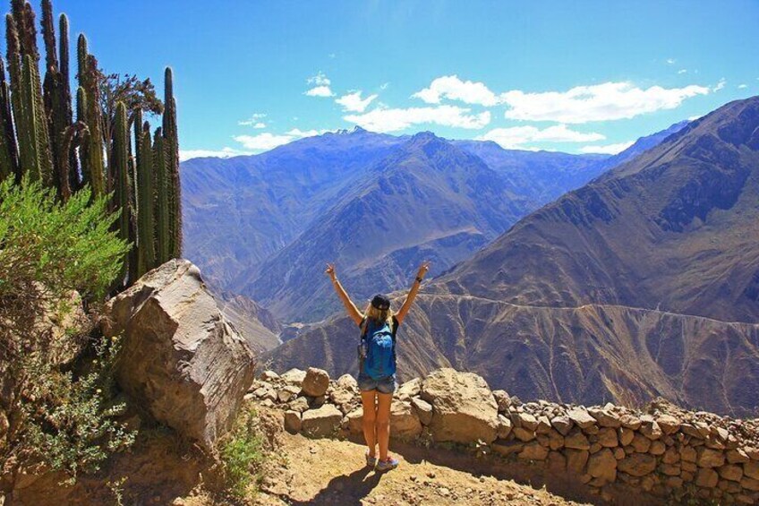 Colca Canyon 3 Days And 2 Nights Trekking Ending to Puno