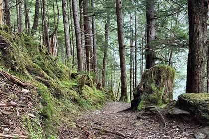 Explore Tongass National Forest on Connell Lake Trail Hike
