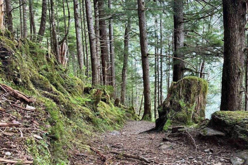 Explore Tongass National Forest on Connell Lake Trail Hike