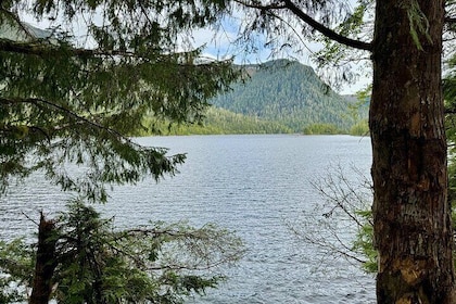 Explore Tongass National Forest on Connell Lake Trail Hike