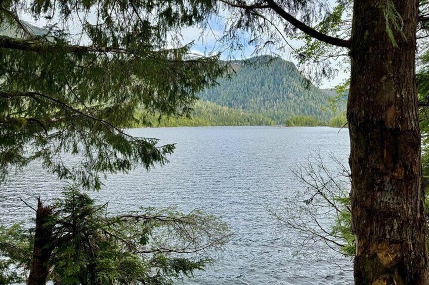 Explore Tongass National Forest on Connell Lake Trail Hike