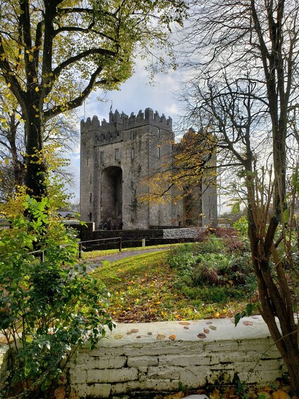 Cliffs of Moher, Ennis Town & Bunratty Castle Day Tour from Dublin