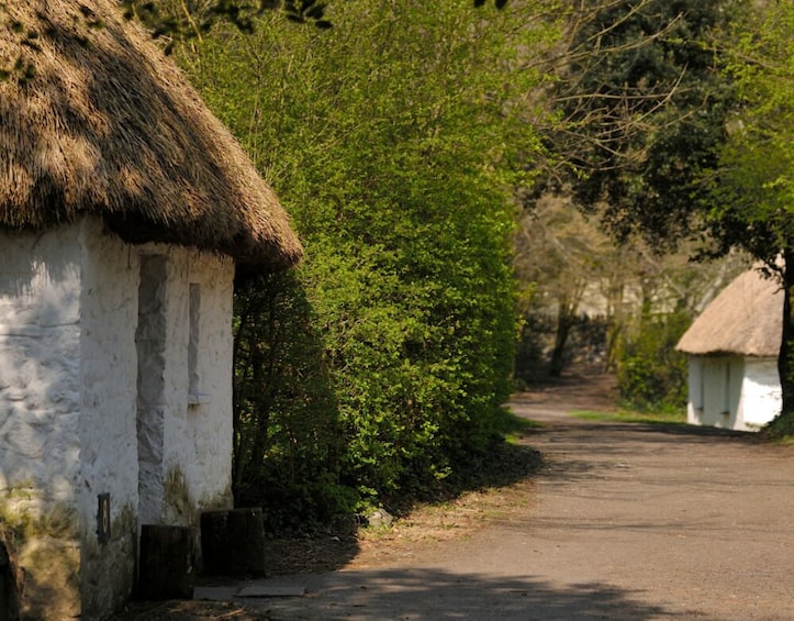 Cliffs of Moher, Ennis Town & Bunratty Castle Day Tour from Dublin