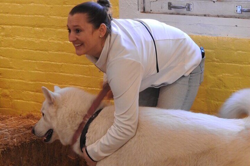 Hide & Seek Skills for Dogs at the Hay filled New York City Barn