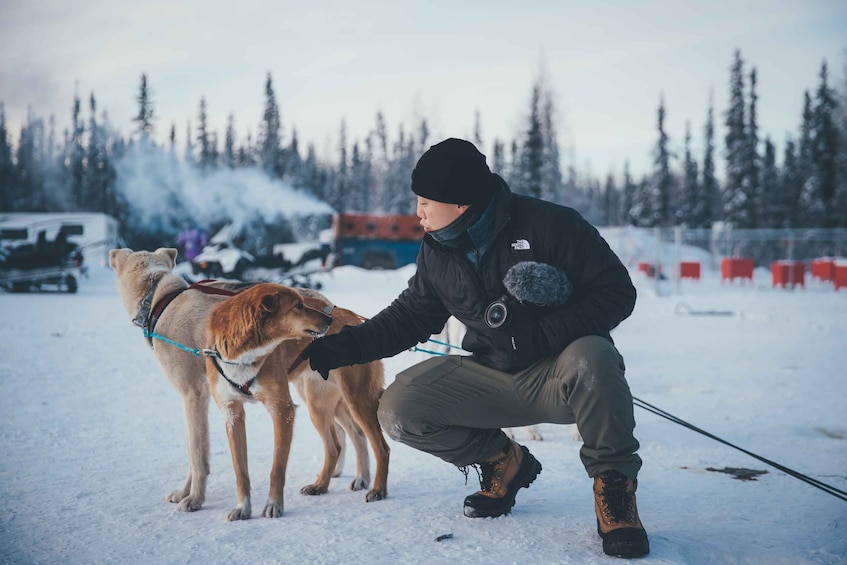 Picture 5 for Activity Fairbanks: Dog Sledding Tour with Transportation