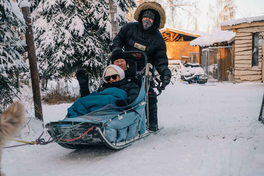 Picture 2 for Activity Fairbanks: Dog Sledding Tour with Transportation