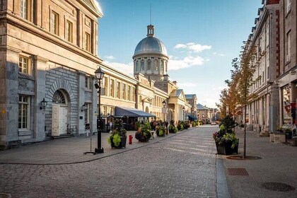 Montreal 6hr Private Walking Tour with Certified Guide