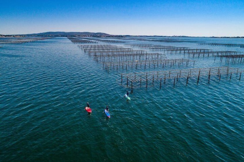 Stand-up-paddle on Laguna of Thau, rental, Sete