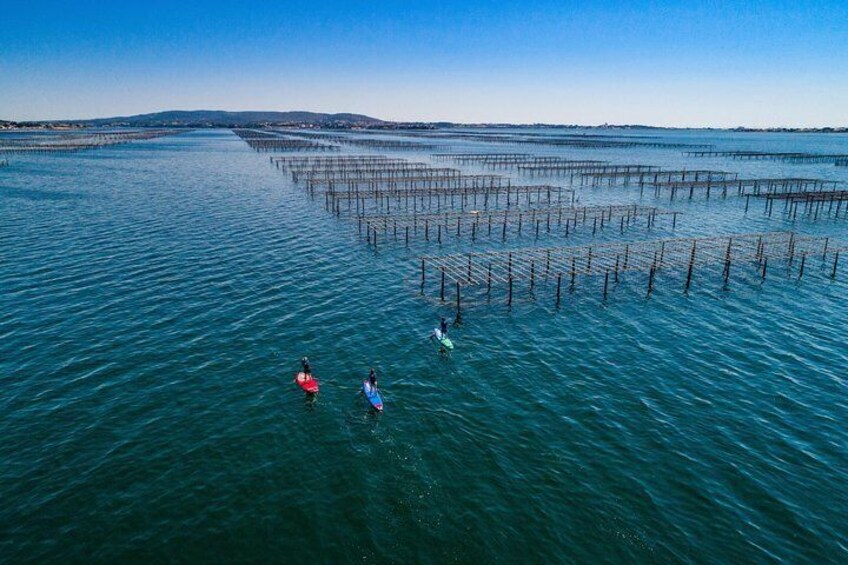 Stand-up-paddle on Laguna of Thau, rental, Sete