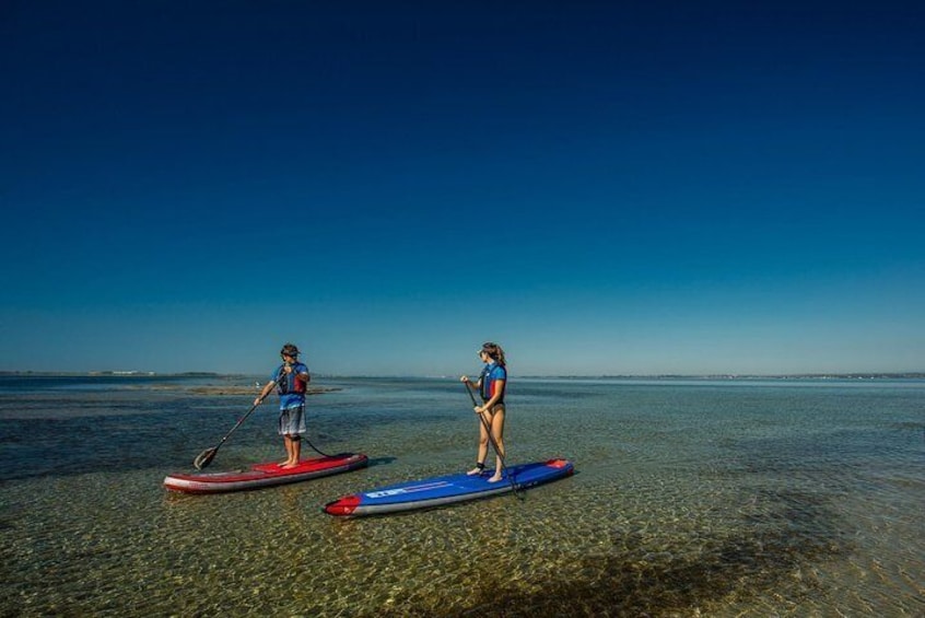 Stand-up-paddle on Laguna of Thau, rental, Sete