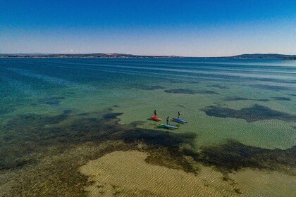 Stand-up-paddle on Laguna of Thau, rental, Sete
