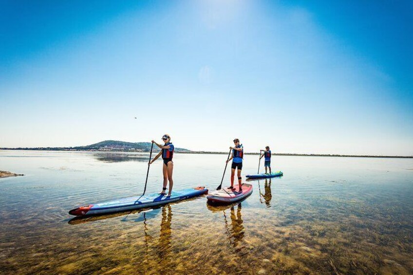 Stand-up-paddle on Laguna of Thau, rental, Sete