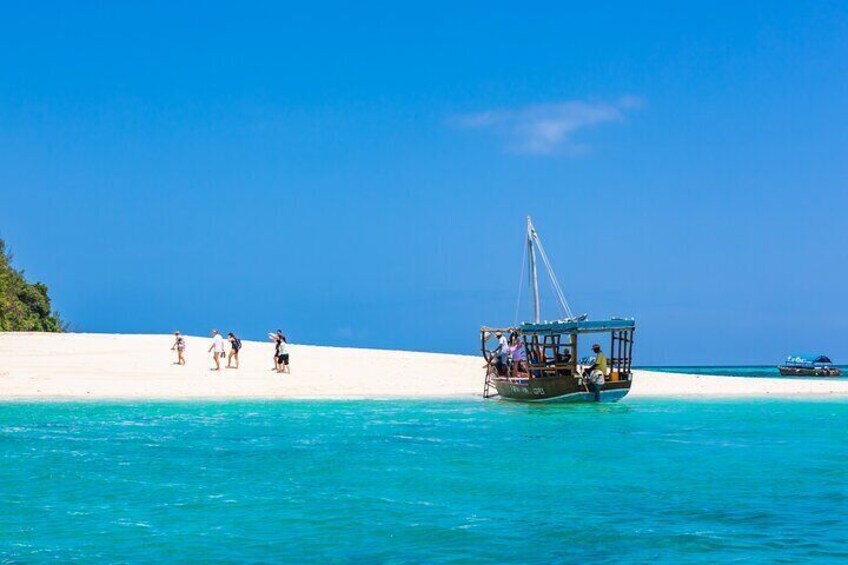 Shared Snorkeling Experience in Kwale Island