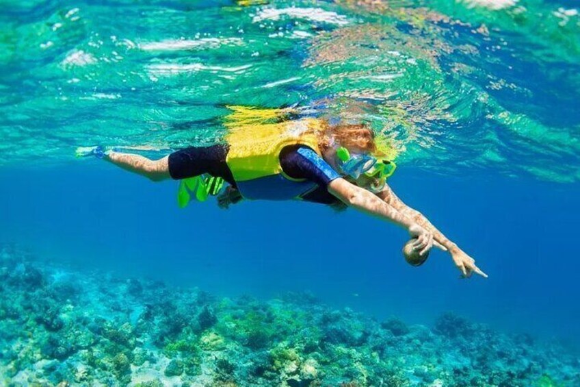 Shared Snorkeling Experience in Kwale Island