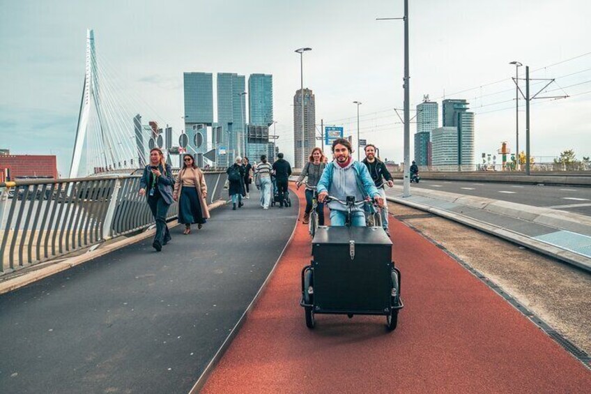 On the Erasmus bridge