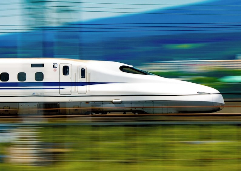 Shin-Fuji to Tokyo Bullet Train Shinkansen Tickets