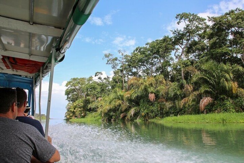 Veragua Canopy Adventure and Tortuguero Jungle Cruise 