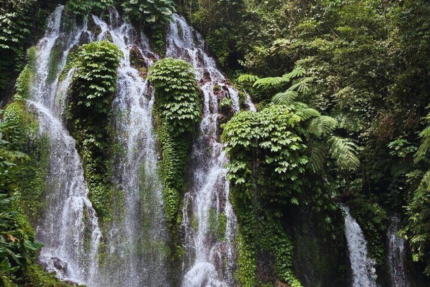 Banyu Wana Waterfall