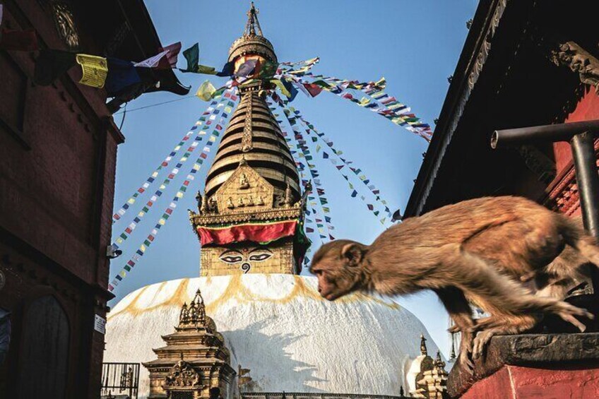 Swyambhunath or Monkey Temple