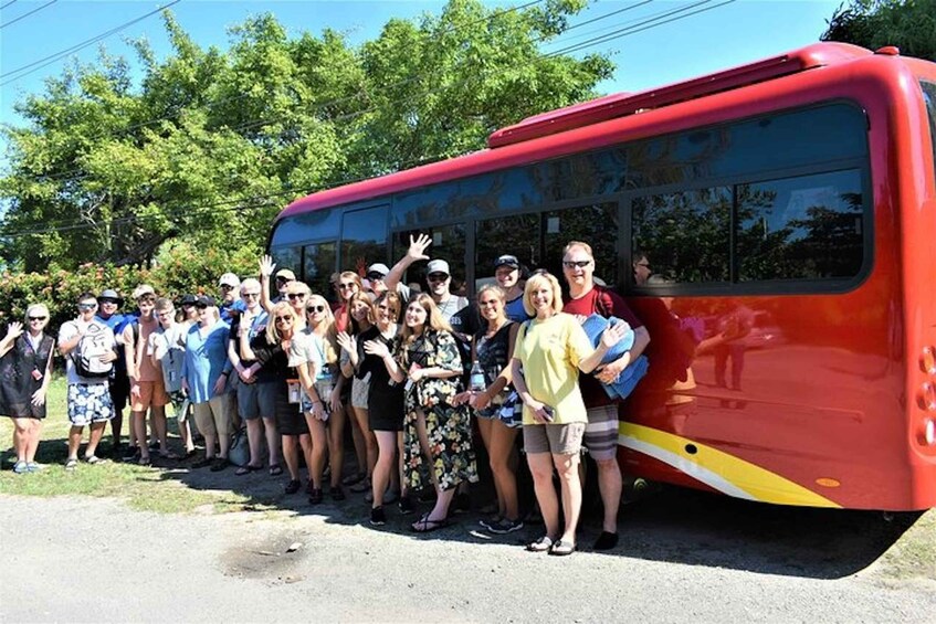 Picture 6 for Activity Negril: Black River Safari and YS Falls Tour with Lunch