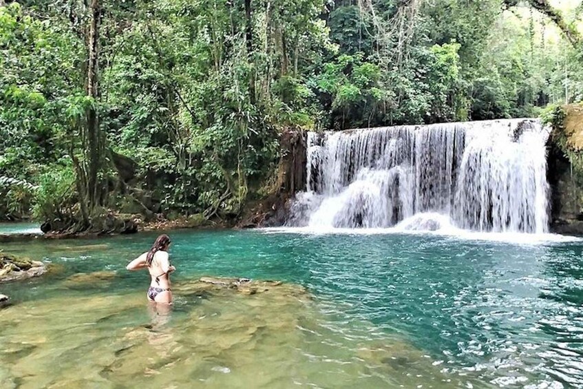 Picture 5 for Activity Negril: Black River Safari and YS Falls Tour with Lunch