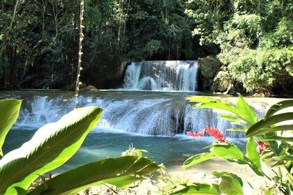 Negril: Black River Safari and YS Falls Tour with Lunch