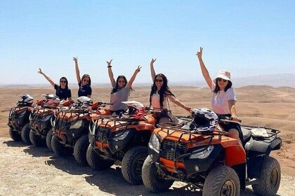 Agadir or Taghazout: Quad bike safari and Crocopark