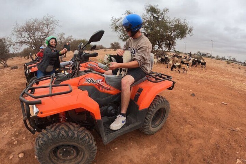  Safari Quad Bike with Crocoparc Ticket from Agadir/Taghazout