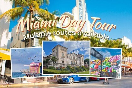 Excursión privada a Miami con chofer diario