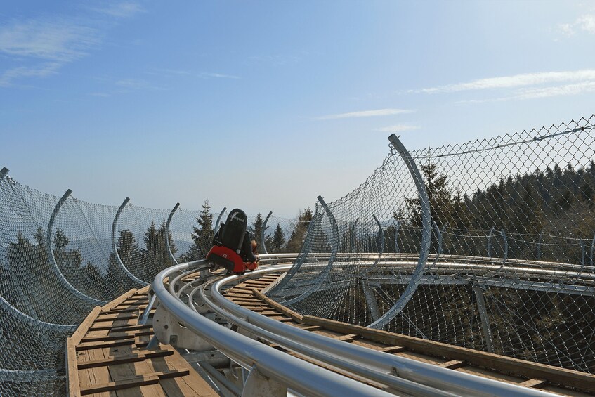 Picture 11 for Activity Stresa: Alpyland Alpine Coaster Ride on Mt. Mottarone