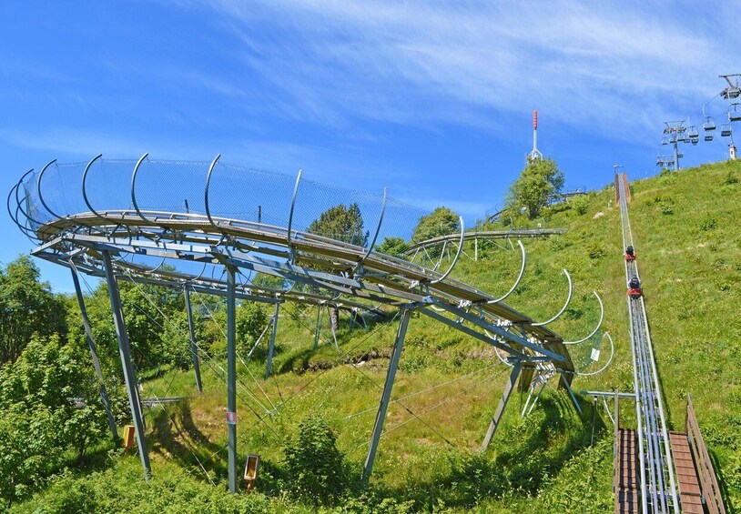 Picture 4 for Activity Stresa: Alpyland Alpine Coaster Ride on Mt. Mottarone