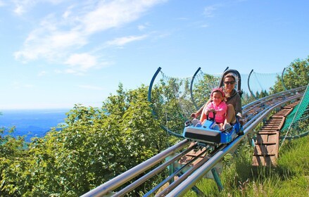 Stresa: Alpyland Alpine Coaster Ride on Mount Mottarone