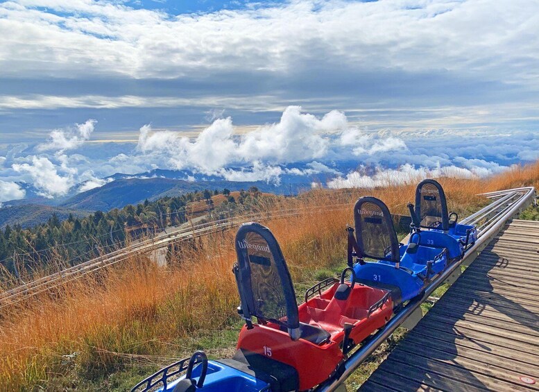 Picture 8 for Activity Stresa: Alpyland Alpine Coaster Ride on Mt. Mottarone