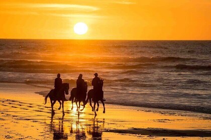 Essaouira Horse ride