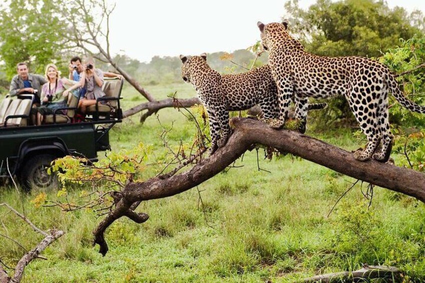 Hluhluwe Imfolozi and Isimangaliso Wetlands 2 Day Safari