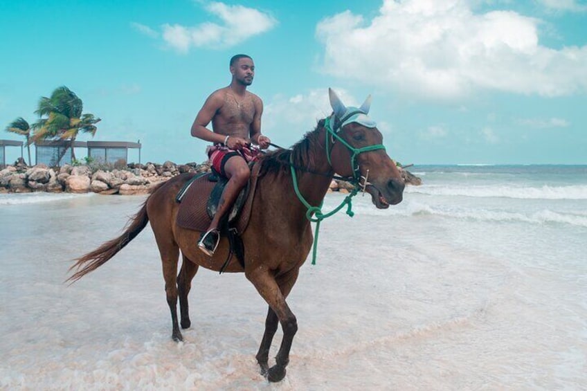 Ocean Front Horse Ride and Swim in Montego Bay