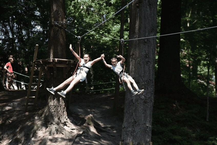 Picture 2 for Activity Echassières: Accro Sioule Leisure Park Entry Ticket