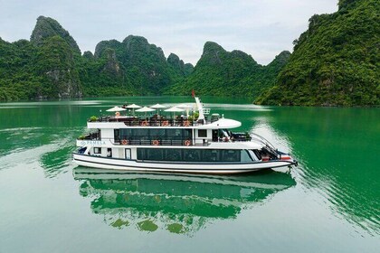 Pamela Luxury Cruise Experience in Halong Bay