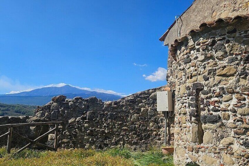 Sicilian Villages Oil and Ricotta Tasting with Lunch Included