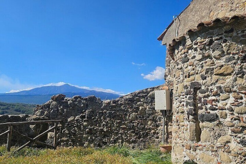 Sicilian Villages Oil and Ricotta Tasting with Lunch Included