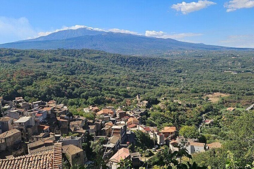 Sicilian Villages Oil and Ricotta Tasting with Lunch Included