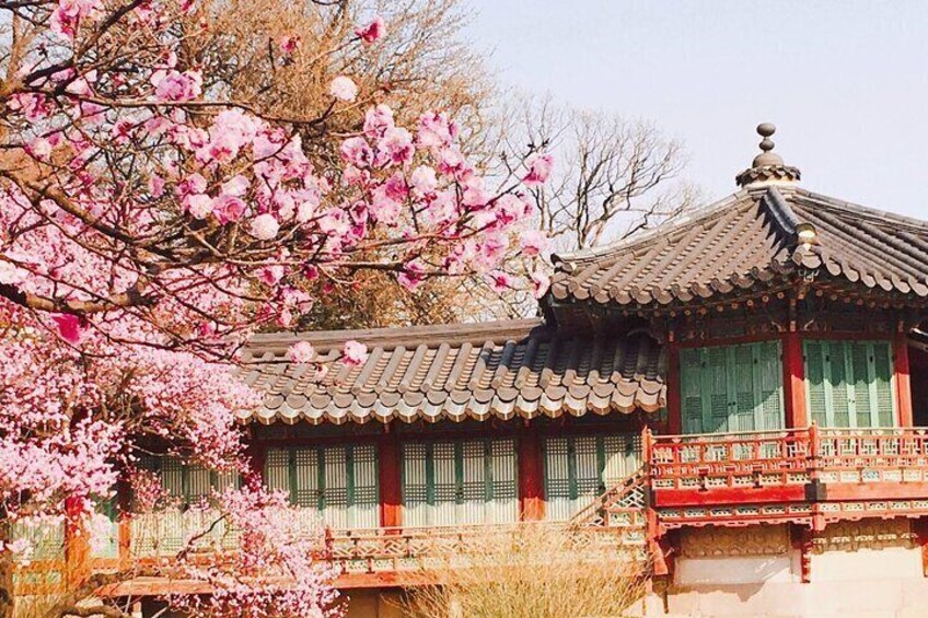 Seoul and Suburbs Private Customized Tour