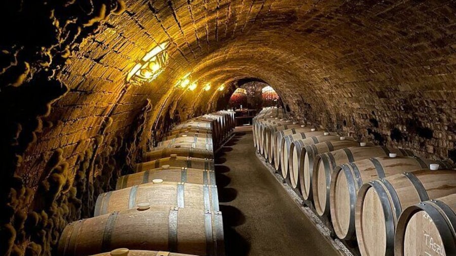 Small-group Tour of Tokaj Sky Bridge with Wine Experience
