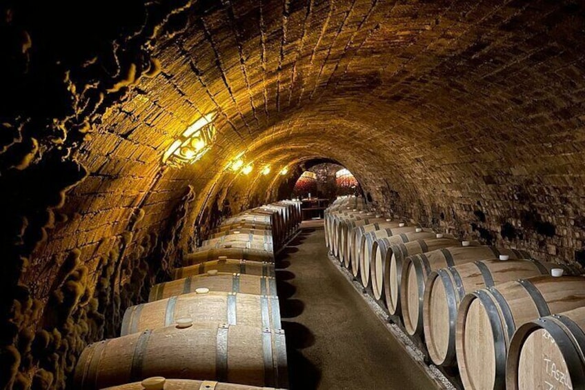 Small-group Tour of Tokaj Sky Bridge with Wine Experience