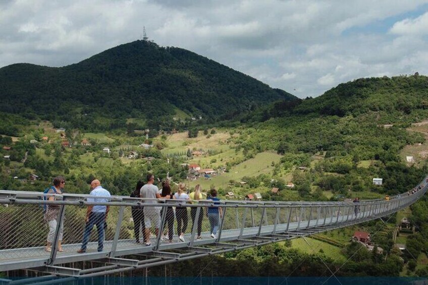 Small-group Tour of Tokaj Sky Bridge with Wine Experience