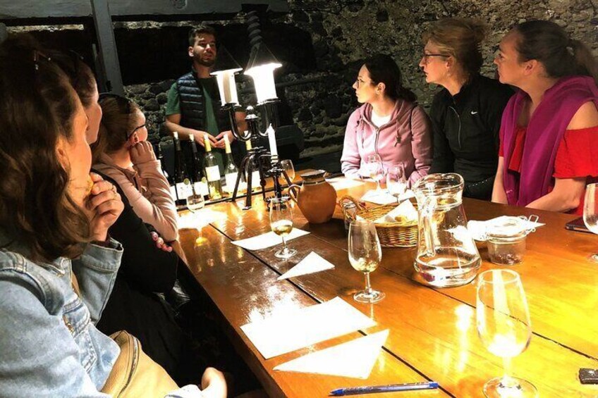 Small-group Tour of Tokaj Sky Bridge with Wine Experience