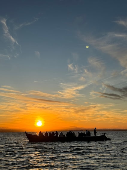 Picture 4 for Activity Albufera of Valencia: Guided boat ride around the Albufera