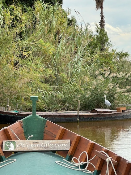 Picture 1 for Activity Albufera of Valencia: Guided boat ride around the Albufera