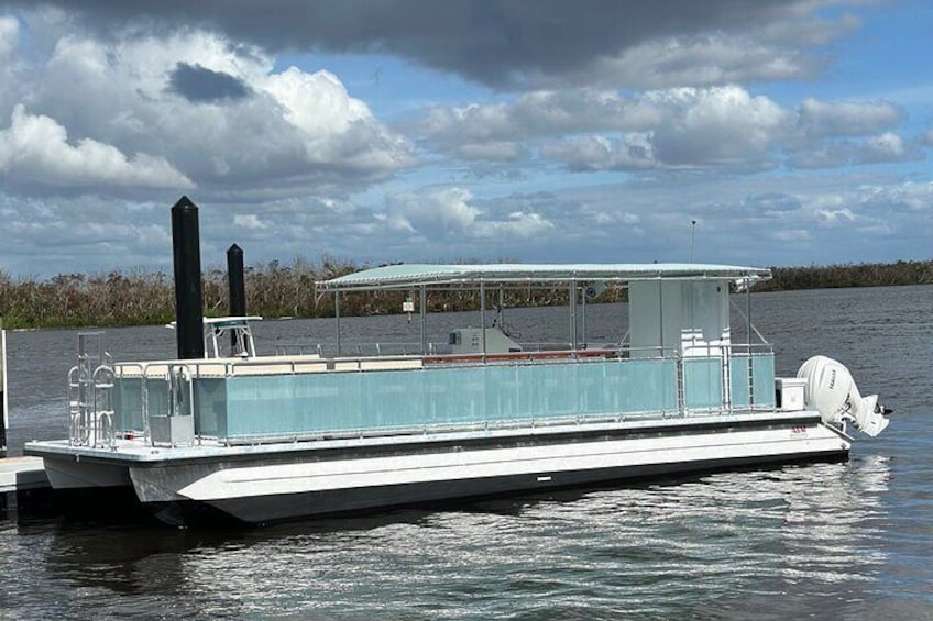 Dolphin Wildlife Cruise Fort Myers Beach